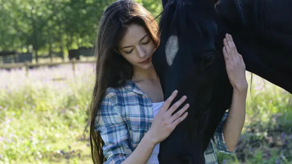 Black Beauty as a Horse Narrator: A Unique Perspective in Literature