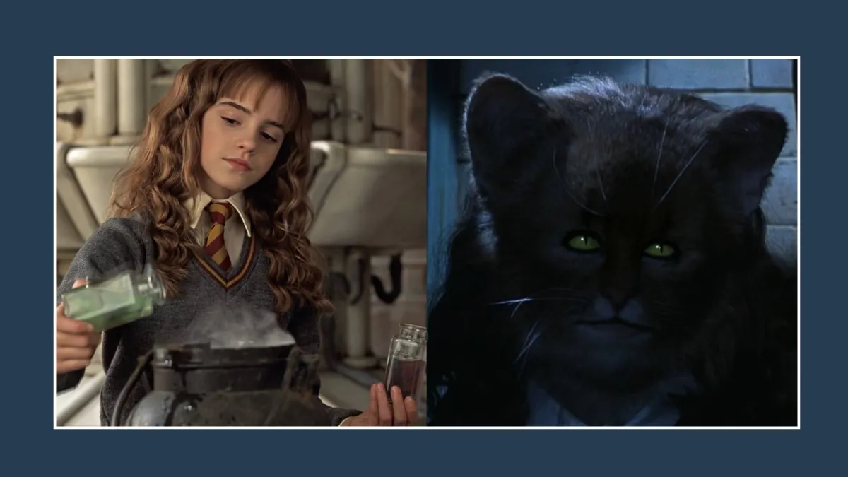 Polyjuice Potion – ‘Harry Potter and the Chamber of Secrets’